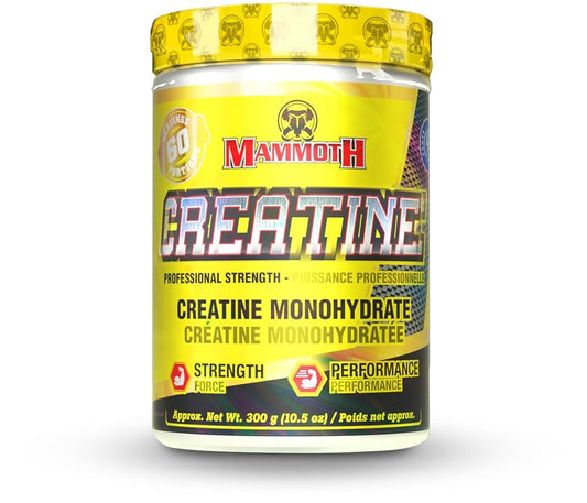 Mammoth Creatine 300gr | كرياتيين ماموث 300غ